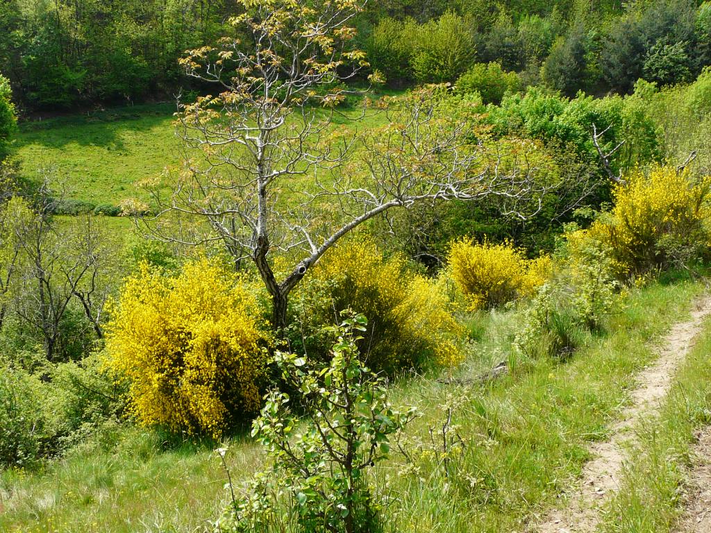 Ardeche, 03-05-09, 12-05.jpg